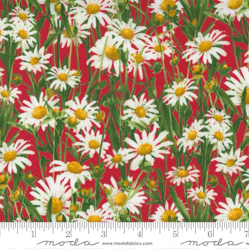 Wildflowers Poppy - Quilt Fabric