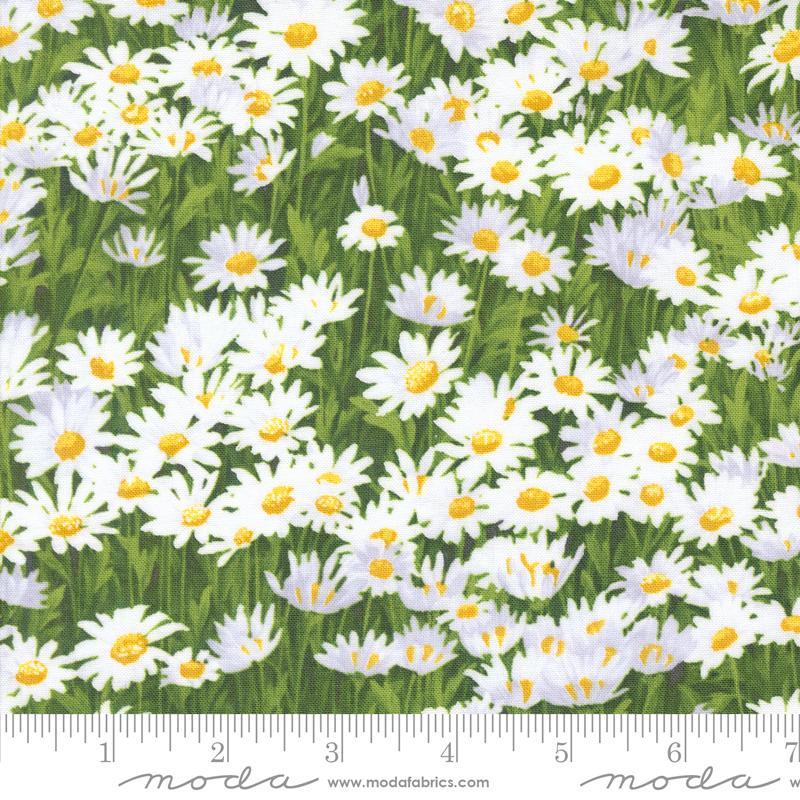 Wildflowers 2024 Cloud - Quilt Fabric