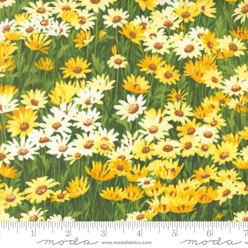 Wildflowers 2024 Sunshine - Quilt Fabric