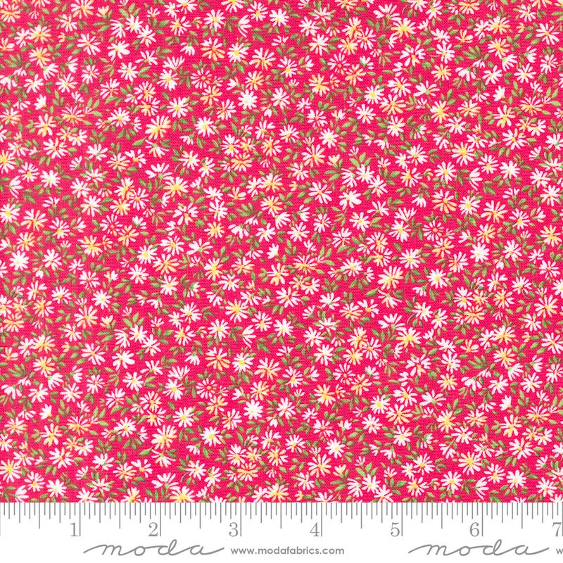 Wildflowers 2024 Poppy - Quilt Fabric