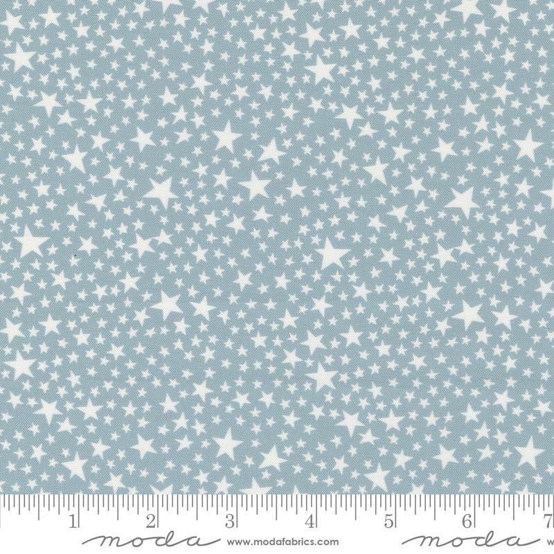 Play Ball Stars - Dolphin - Quilt Fabric