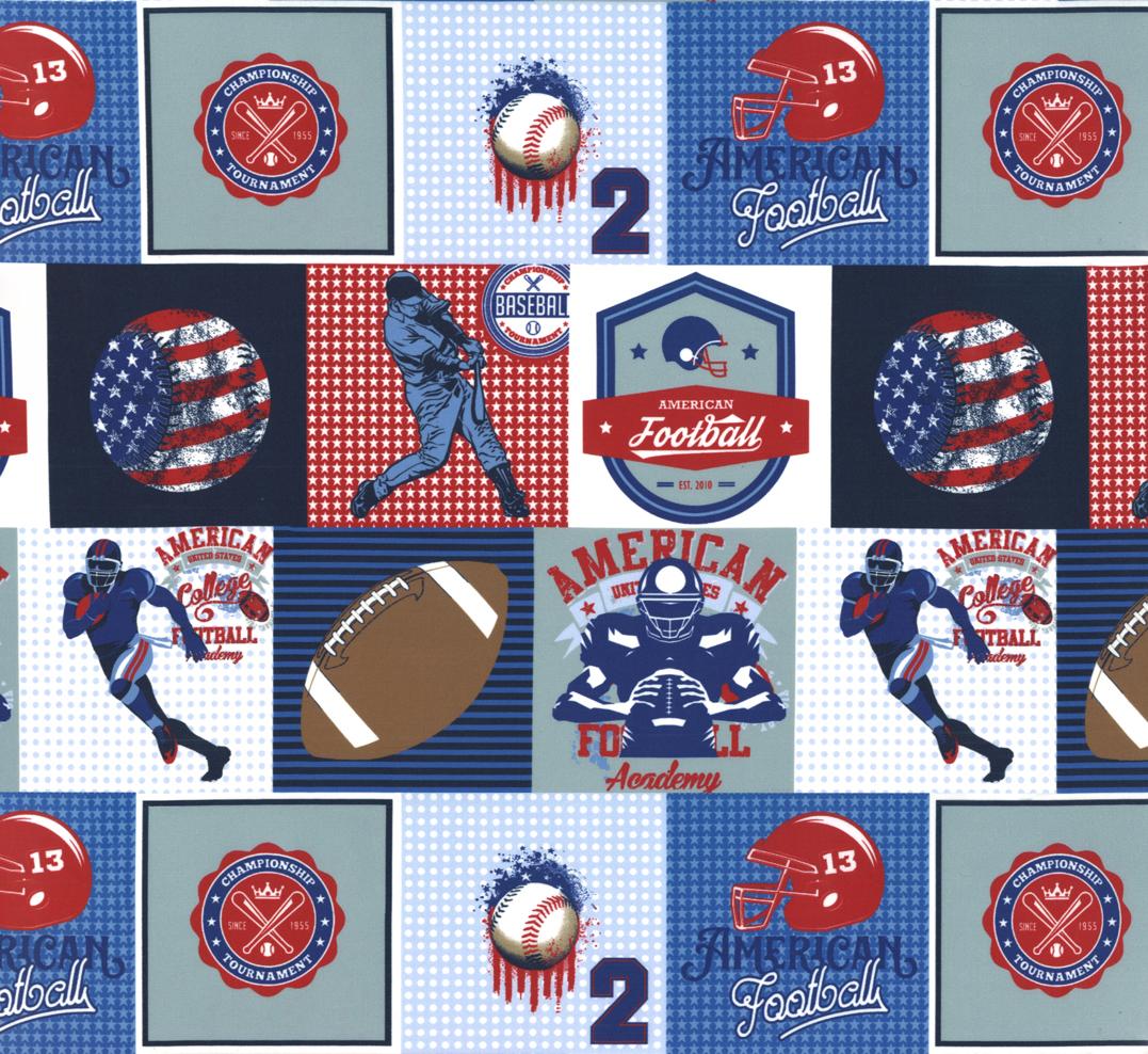 Play Ball Multi - Quilt Fabric