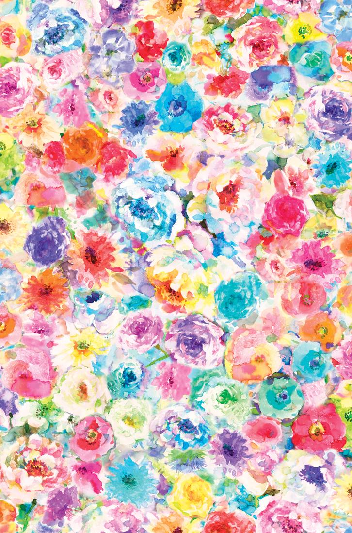 Gradients Euphoria Rainbow - Quilt Fabric