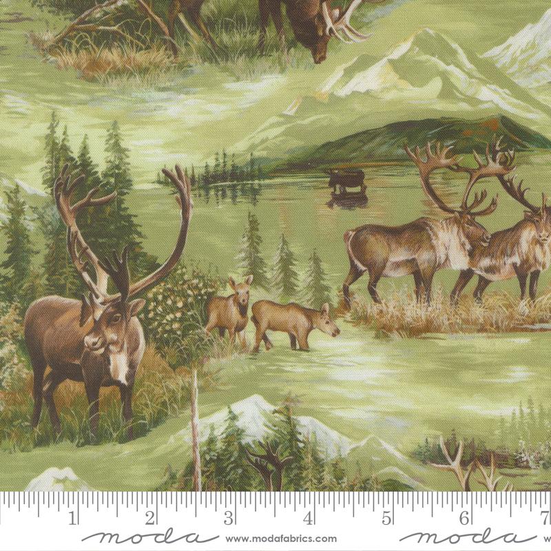 Wild Blue Yonder Deer Pine - Quilt Fabric
