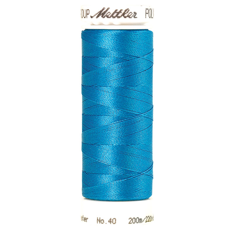 Polysheen Embroidery Thread 4101