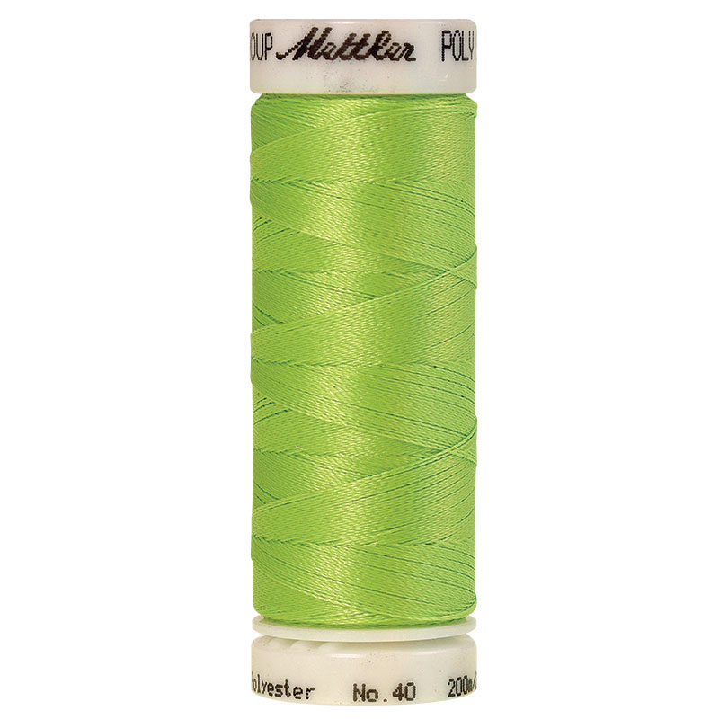 Polysheen Embroidery Thread 5830