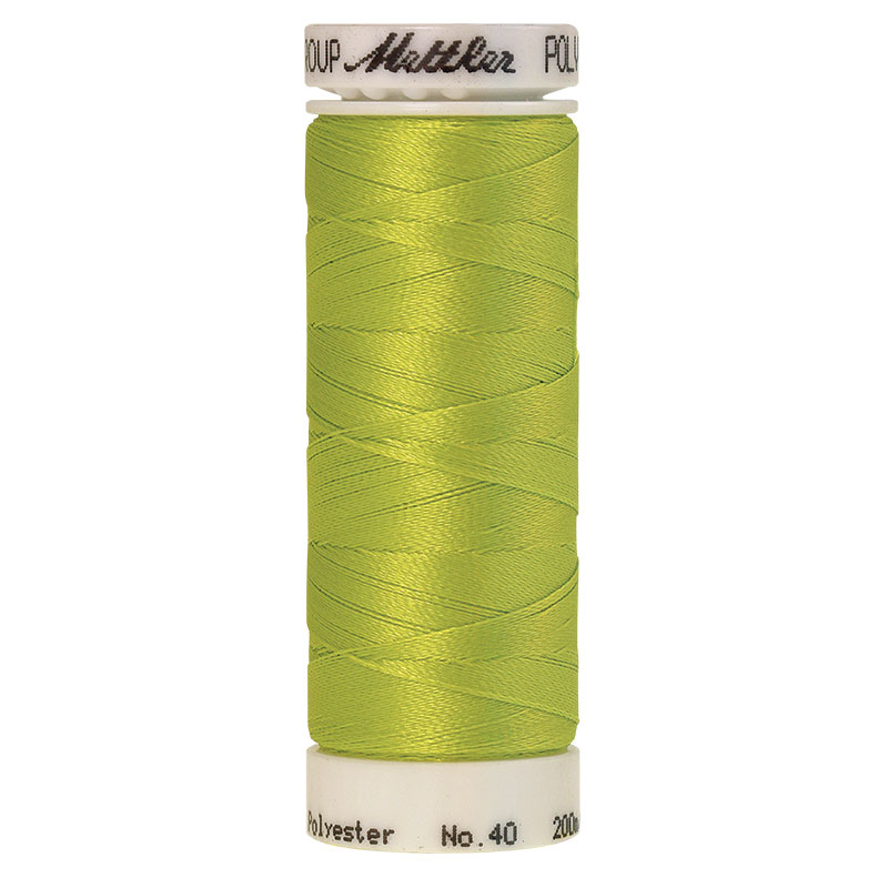 Polysheen Embroidery Thread 6031