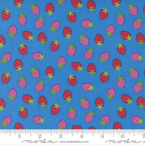Rainbow Garden Water - Merry Berry Strawberry - Quilt Fabric