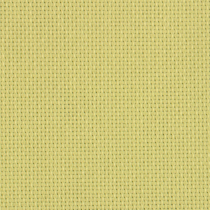 14 Count Tropical Green Aida Fabric 25x36