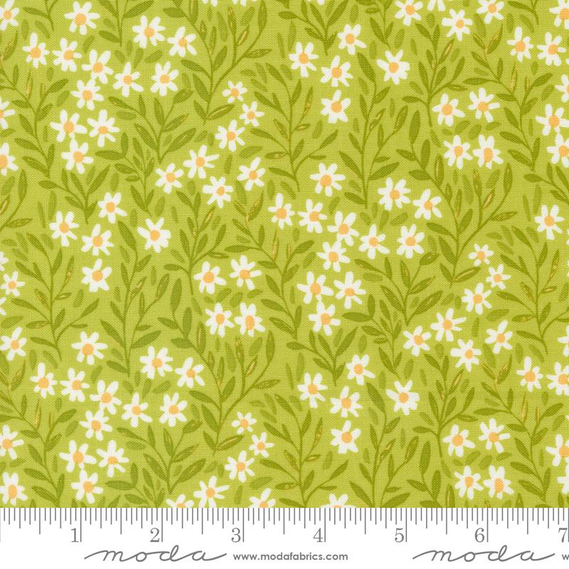 Kindred Daisy - Meadow - Quilt Fabric