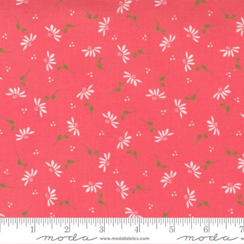 Sincerely Yours Flamingo - Dainty Daisy - Quilt Fabric