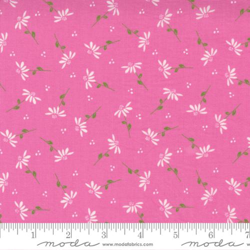 Sincerely Yours Petunia - Dainty Daisy - Quilt Fabric