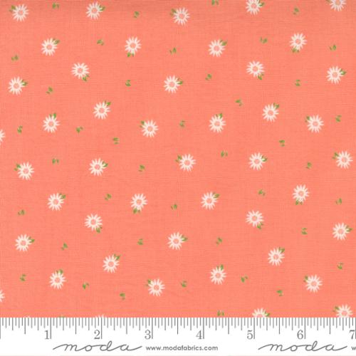 Sincerely Yours Coral - Chamomile - Quilt Fabric