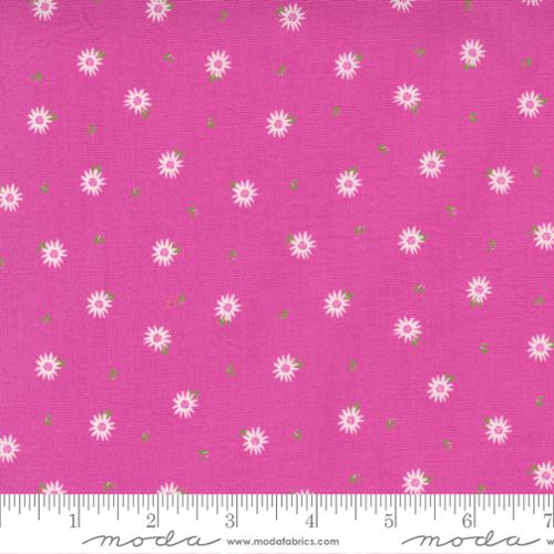 Sincerely Yours Petunia - Chamomile - Quilt Fabric