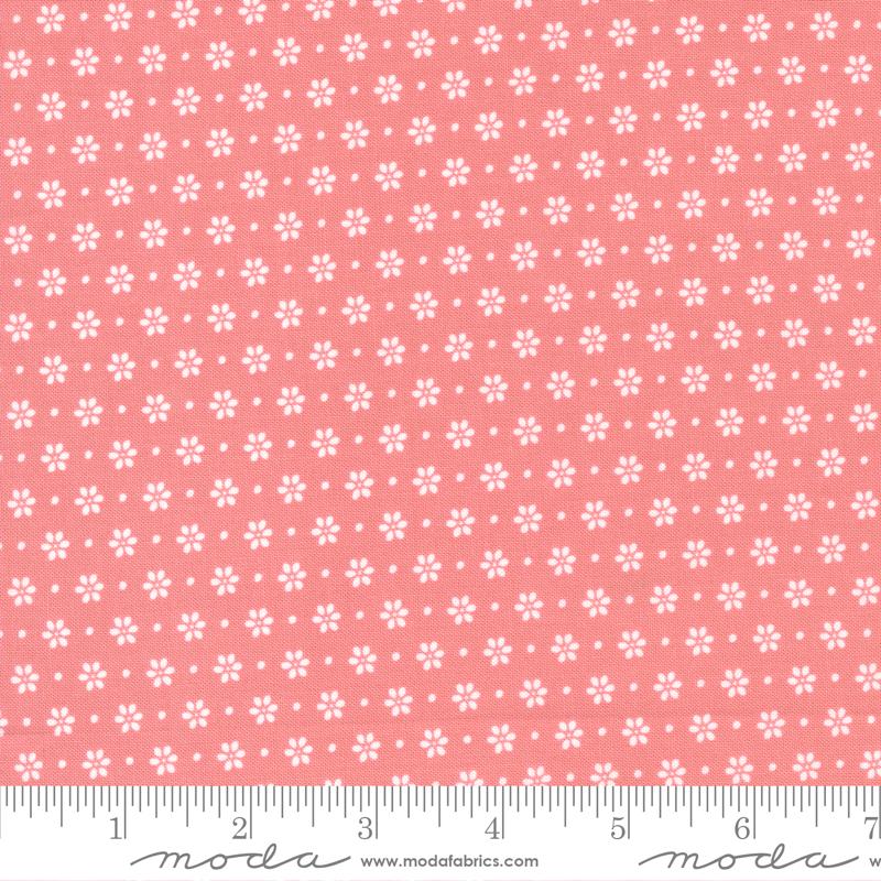 Bountiful Blooms Blush - Quilt Fabric