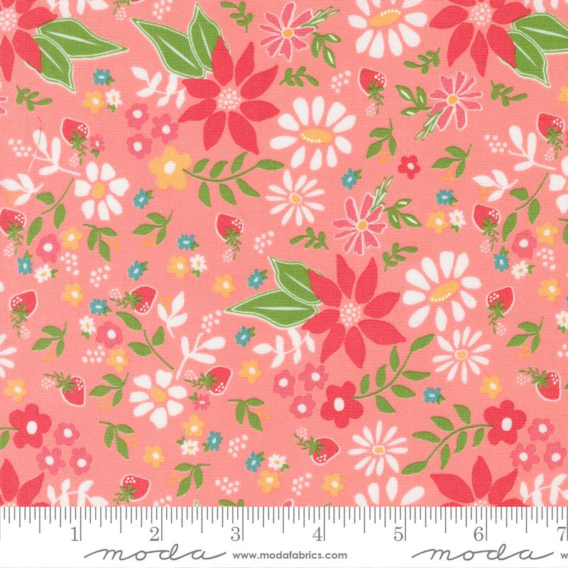 Strawberry Lemonade Carnation - Quilt Fabric