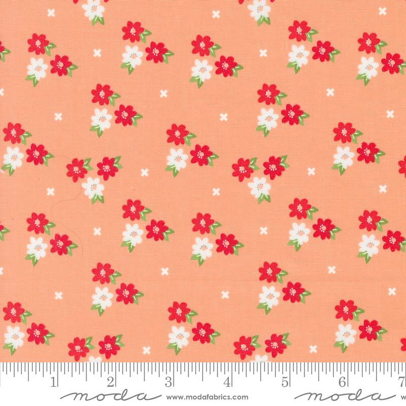 Laguna Sunrise Cantaloupe - Quilt Fabric