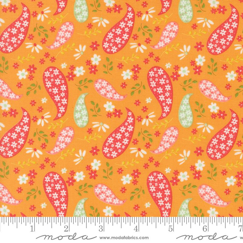 Raspberry Summer Paisley - Apricot - Quilt Fabric