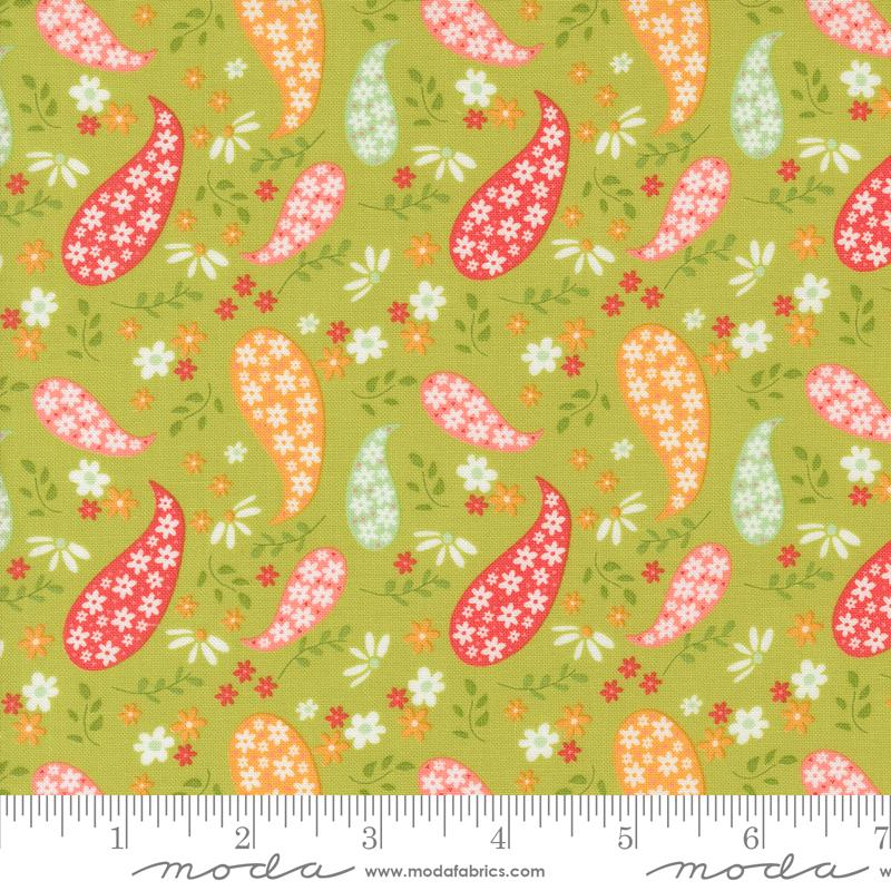 Raspberry Summer Paisley - Lime - Quilt Fabric