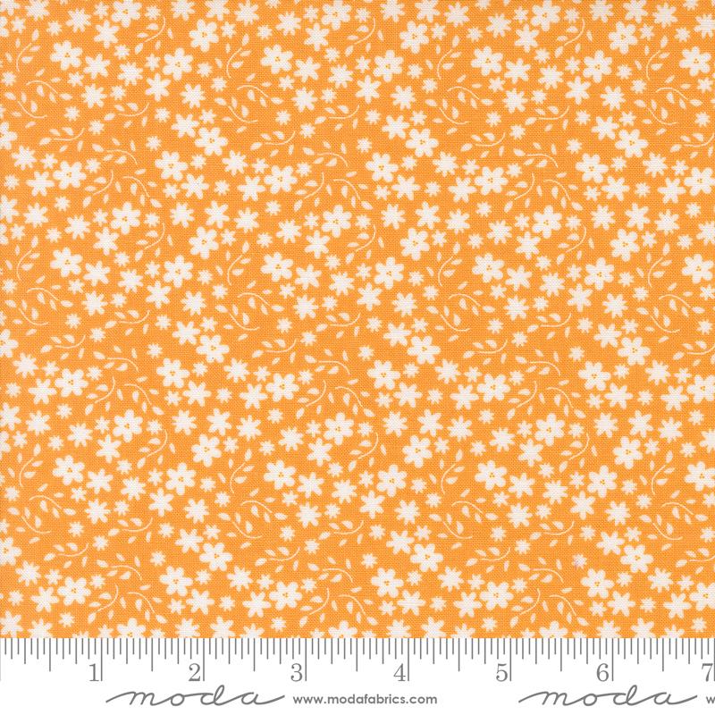 Raspberry Summer Blossoms - Apricot - Quilt Fabric