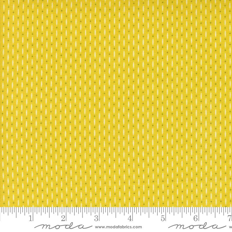 Raspberry Summer Beaded - Summer - Quilt Fabric