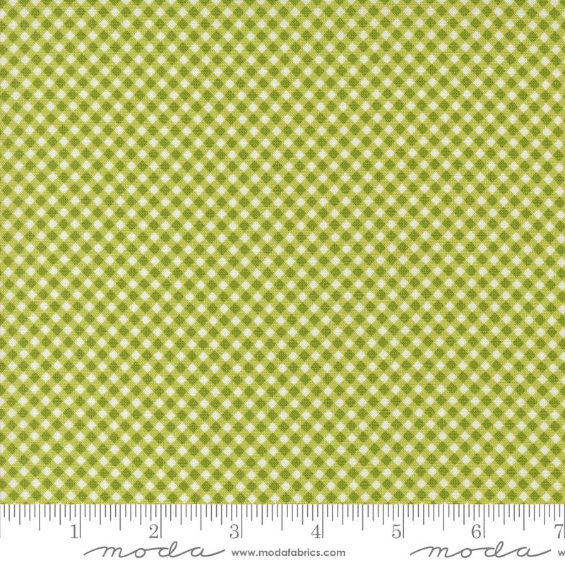 Raspberry Summer Gingham - Lime - Quilt Fabric