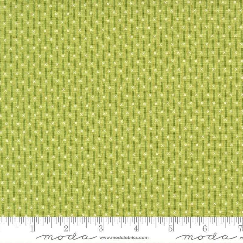 Poinsettia and Pear Lined Pistachio - Quilt Fabric
