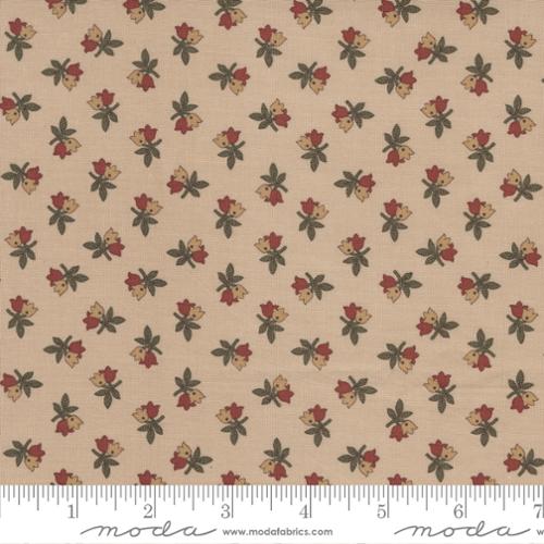 Adamstown Tulips Tan - Quilt Fabric