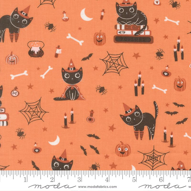 Purrs and Boos Cat Pumpkin - Quilt Fabric