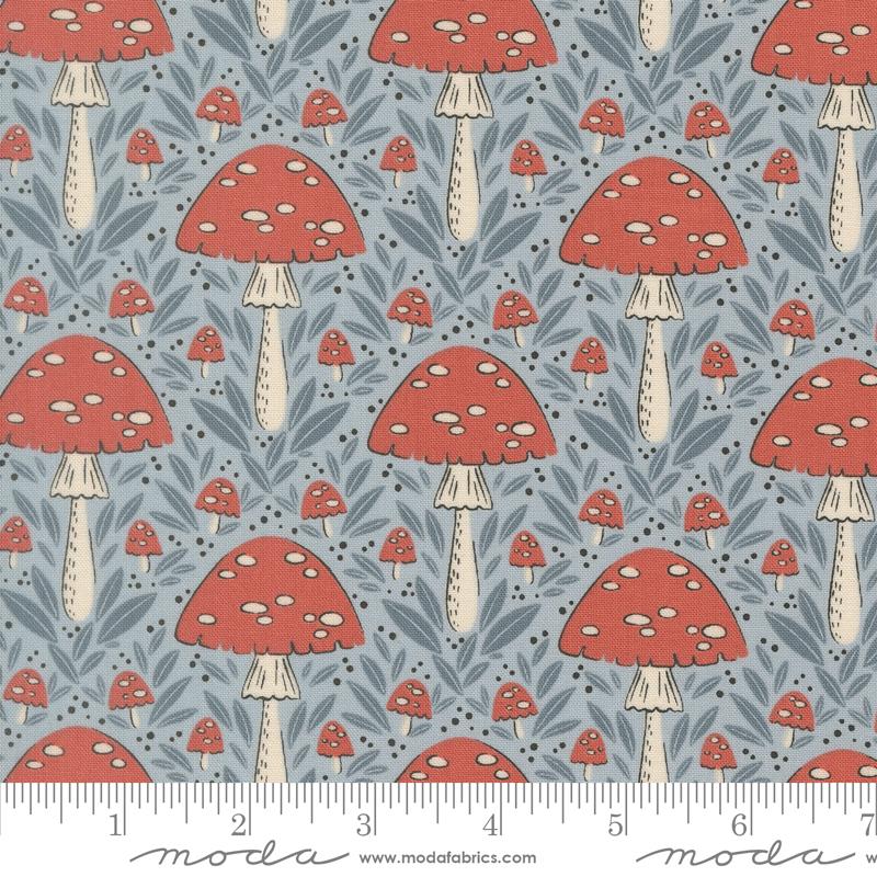 Natures Sketchbook Mushrooms Sky - Quilt Fabric