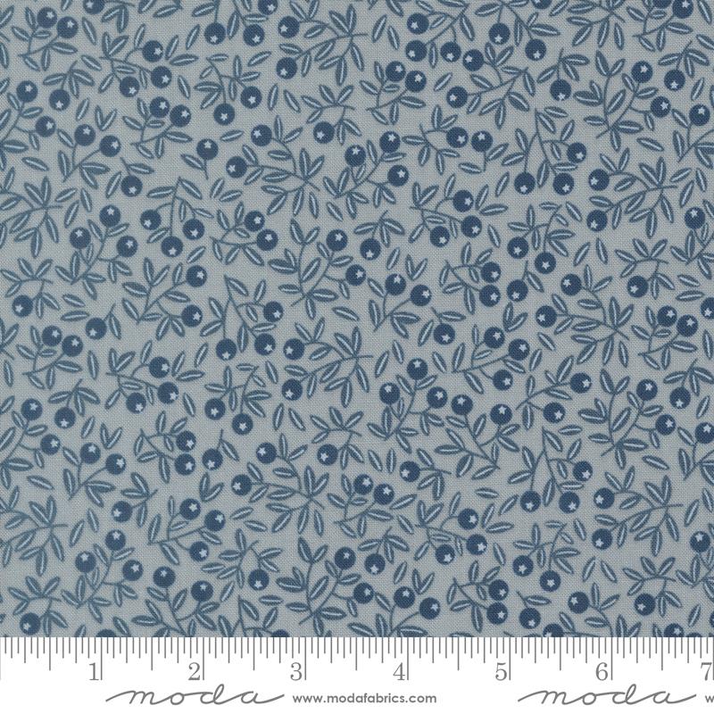 Natures Sketchbook Blueberry Pebbley Sky - Quilt Fabric