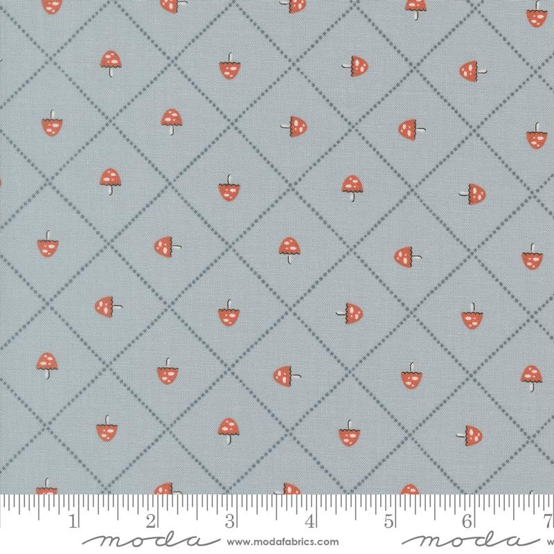 Natures Sketchbook Checkered Sky - Quilt Fabric