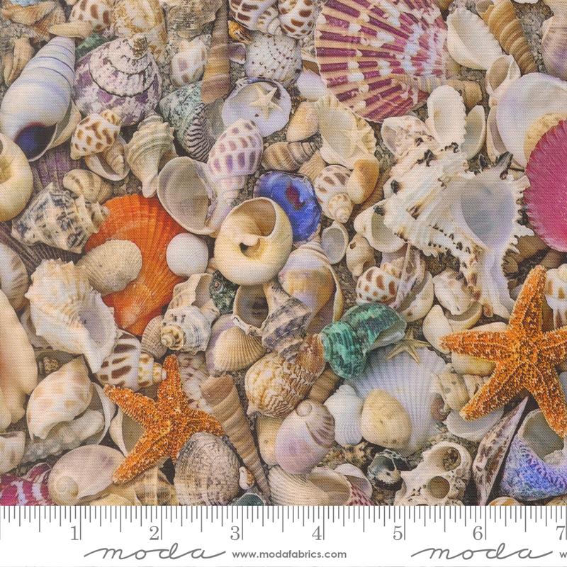 Saltwater Shell - Quilt Fabric