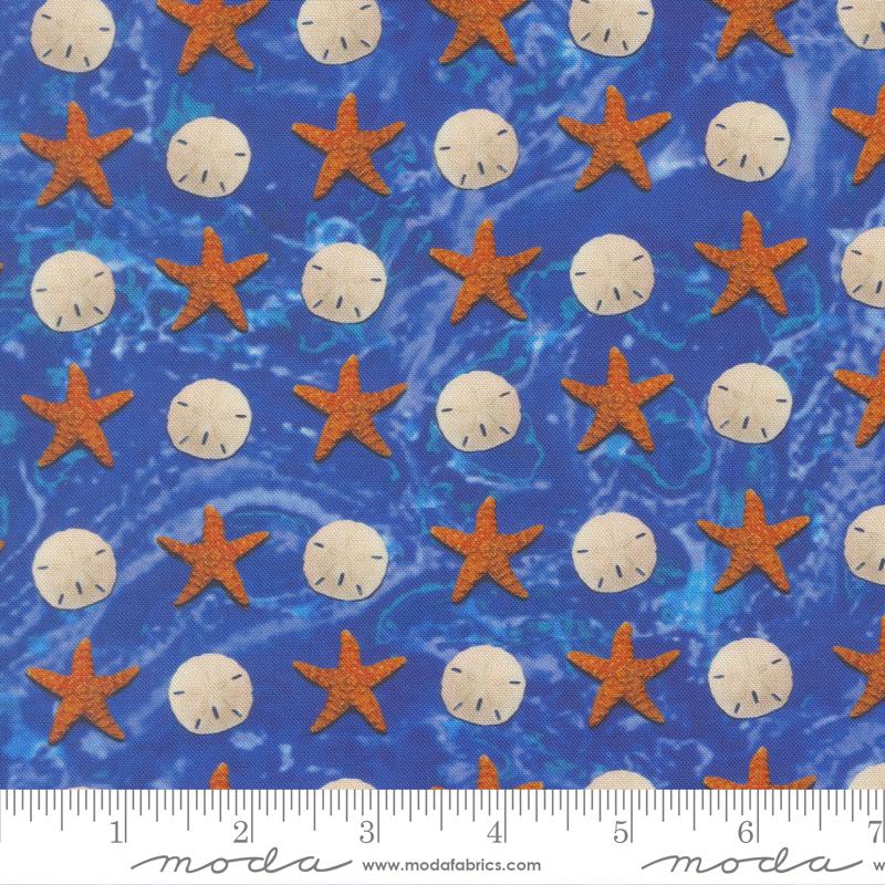 Saltwater Shell Ocean - Quilt Fabric