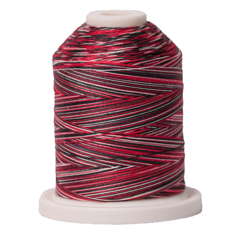 Variegated Thread 700yd Holiday SM002