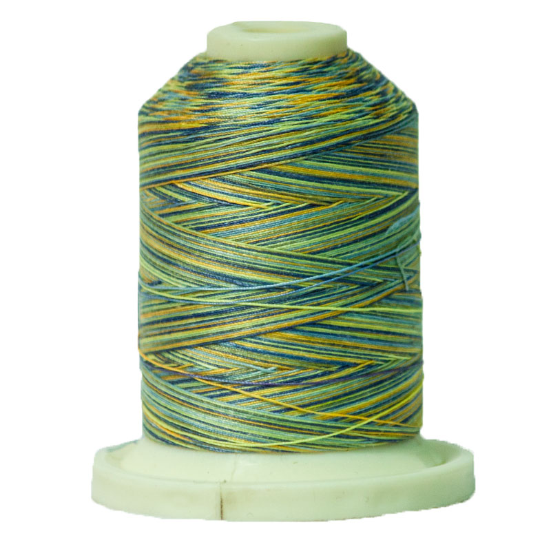 Variegated Thread 700yd French Country SM017