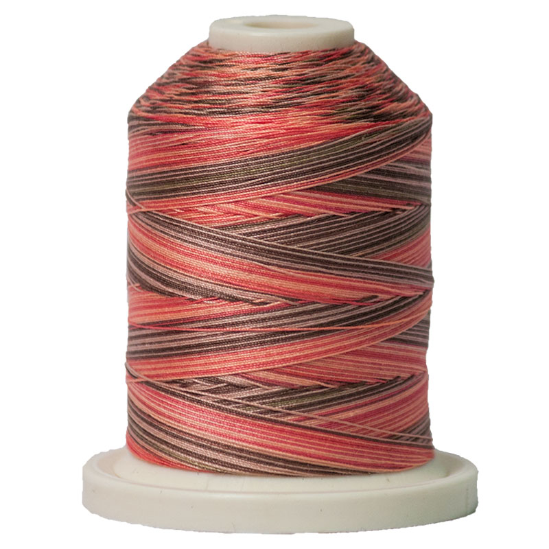 Variegated Thread 700yd Canyon View SM250, zoomed in. Select this picture to zoom back out.