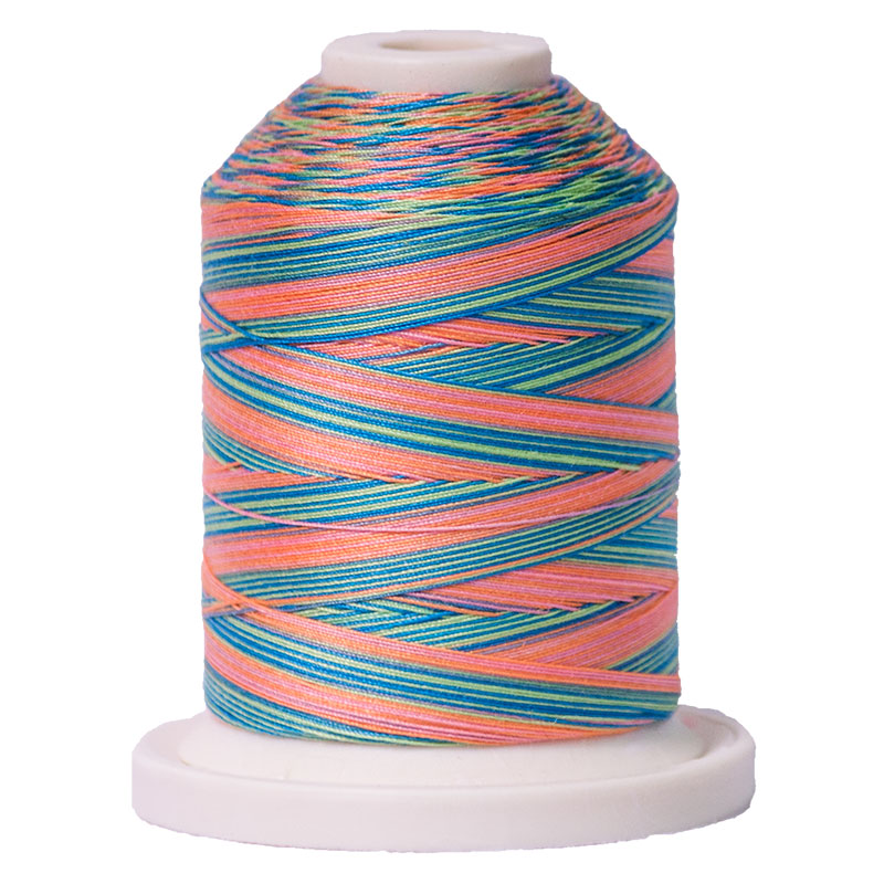 Variegated Thread 700yd Summer Fun SM253, zoomed in. Select this picture to zoom back out.