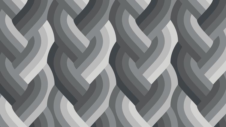 Echo Braid Black - Quilt Fabric