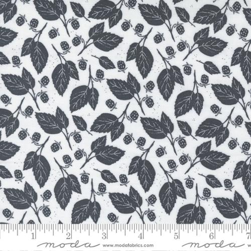 Midnight In Garden Mist Charcoa - Blackberry - Quilt Fabric