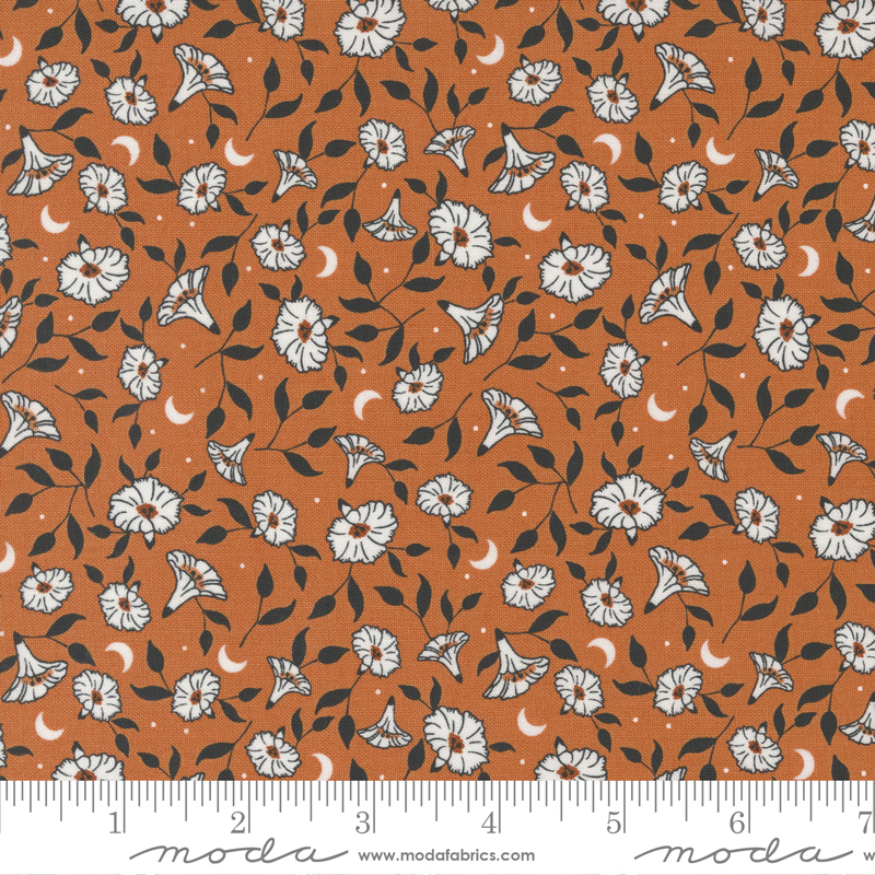 Spellbound Pumpkin - Moonflower - Quilt Fabric