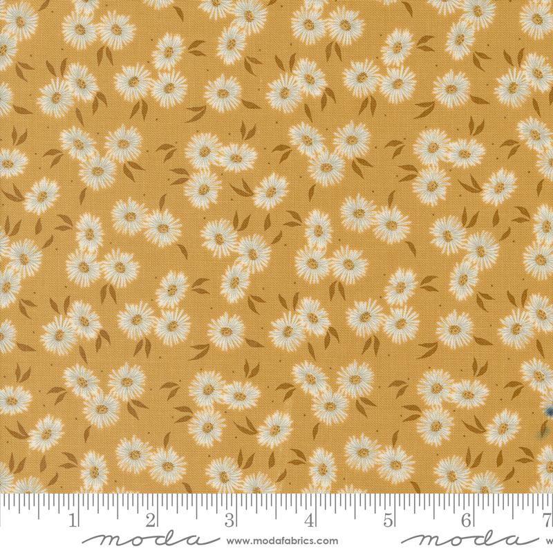 Seaglass Summer Asters - Sunshine - Quilt Fabric