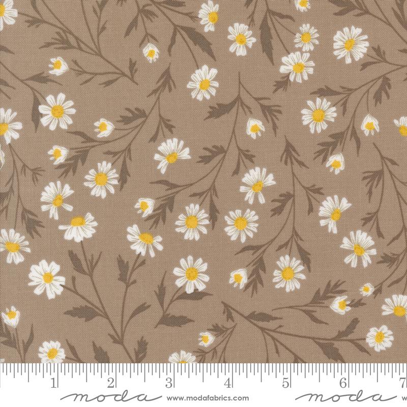 Sun Drenched Daisy Stone - Quilt Fabric