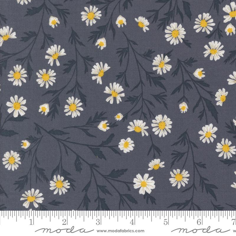 Sun Drenched Daisy Indigo - Quilt Fabric