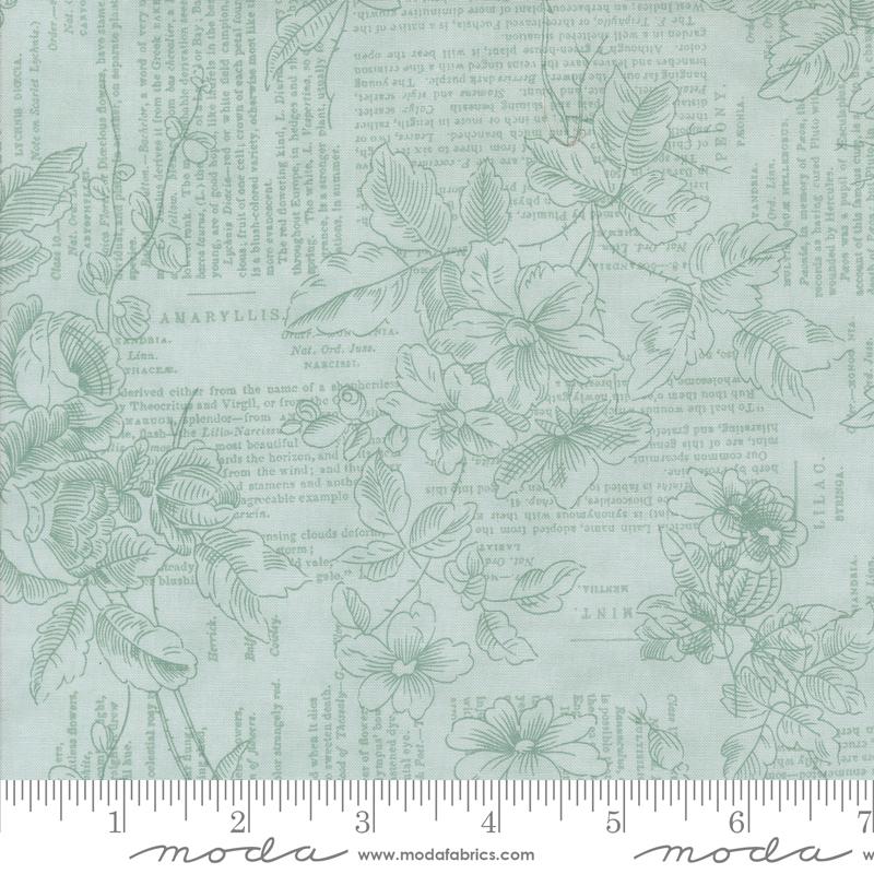 Muse Poetry Sky - Quilt Fabric