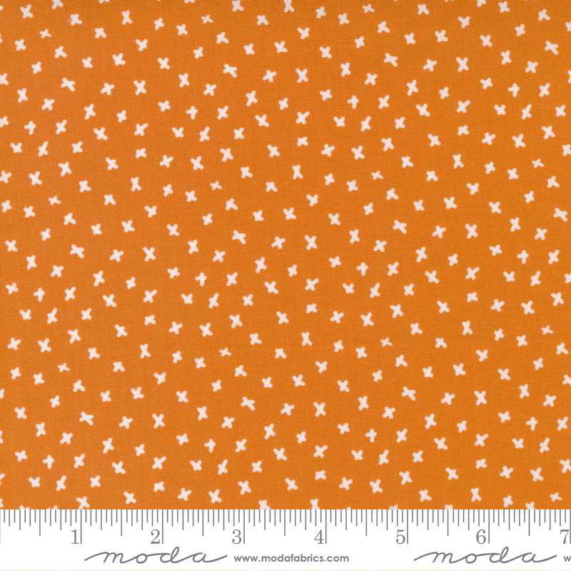 Creativity Glows Orange - X Marks The Spot - Quilt Fabric