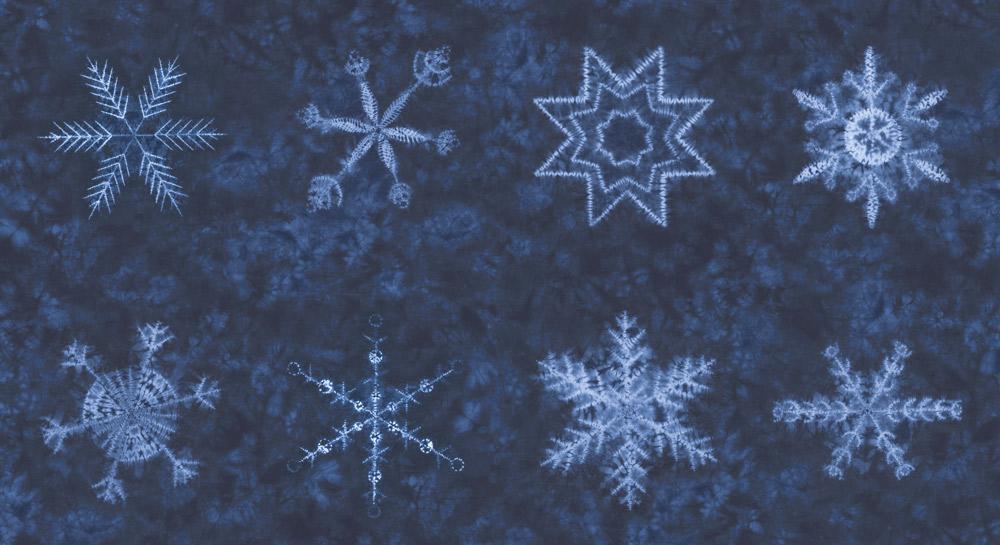 Winter Chill Panel Midnight - Quilt Panel