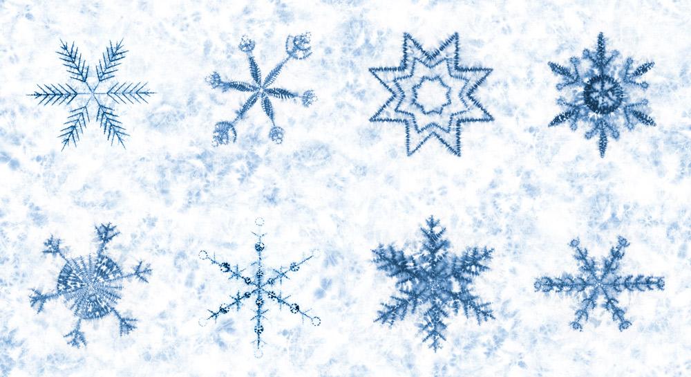 Winter Chill Panel Frost - Quilt Panel