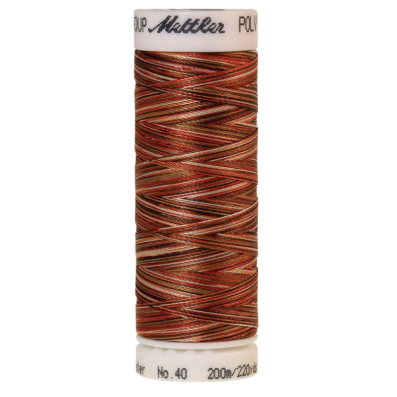 Polysheen Multicolor Thread - Atm Spc 9302 - 220yds