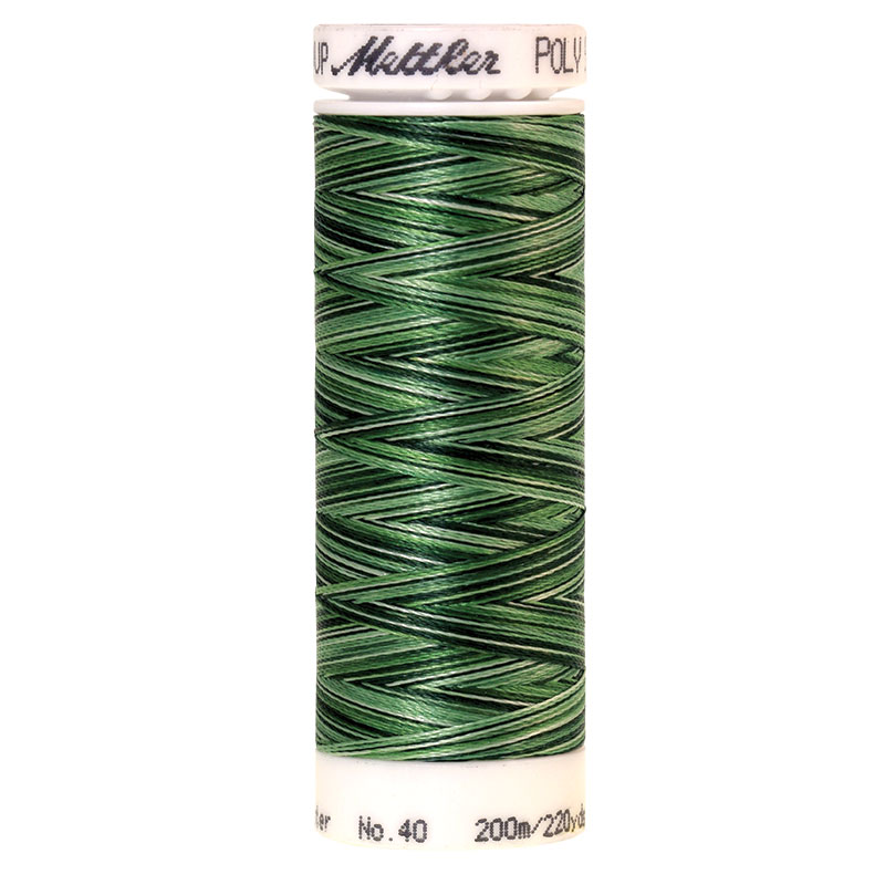 Polysheen Multicolor Thread - Fld Grs 9805 - 220yds